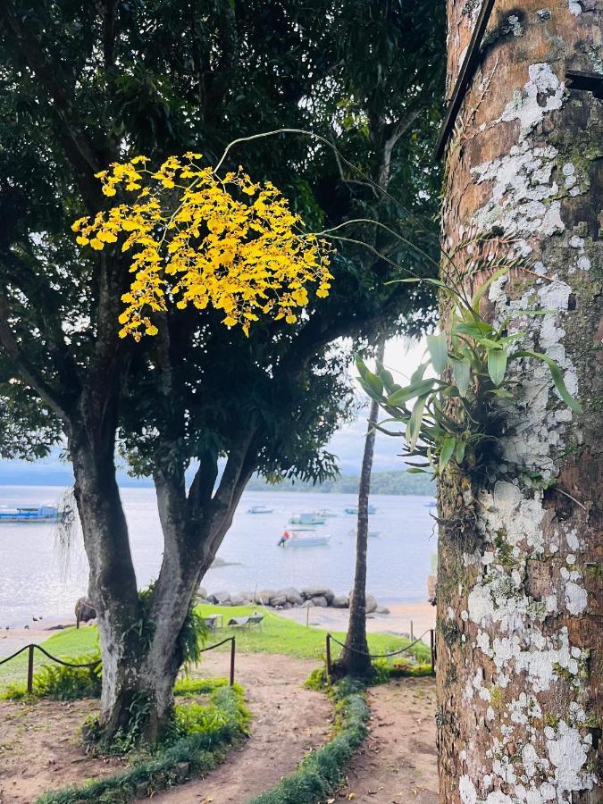 Fauna Praia do Bananal Eksteriør bilde