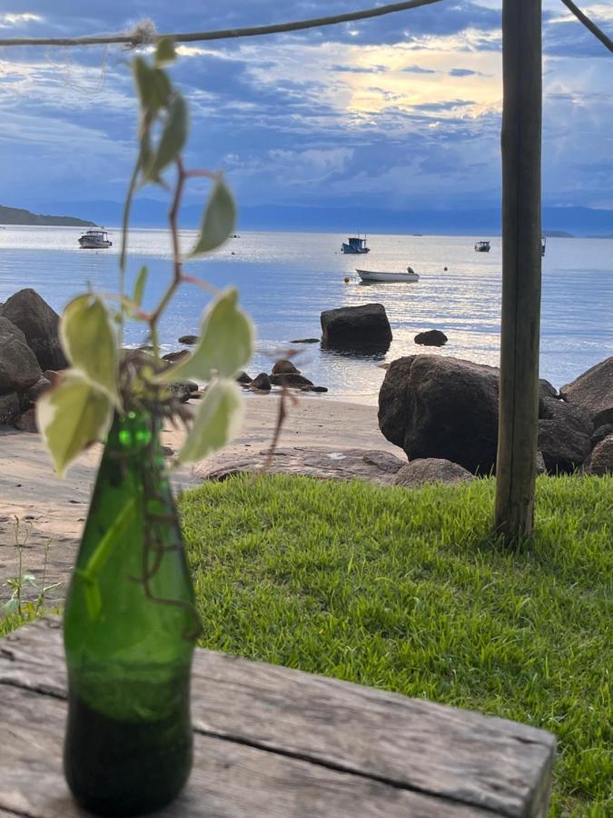 Fauna Praia do Bananal Eksteriør bilde
